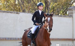 亚洲欧洲卡1卡2卡新区2022八